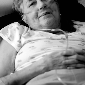 Photo of Jeanine VanKerckhove